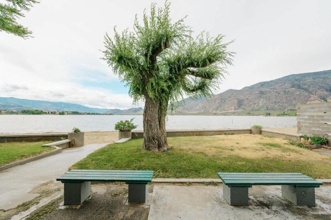 Photo of Others in Okanagan-Similkameen