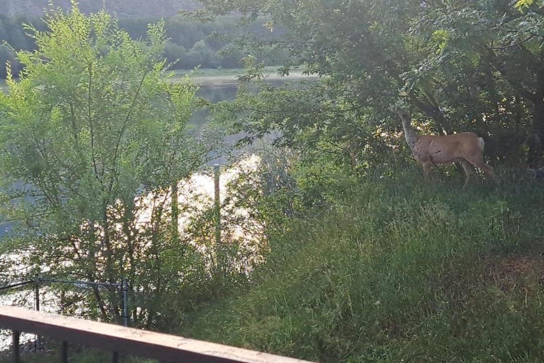 Photo of Others in Valleyview