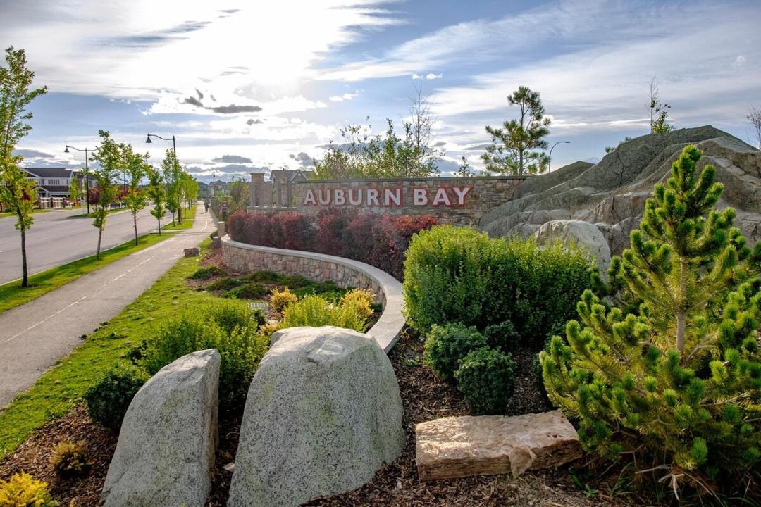 Photo of Others in Auburn Bay