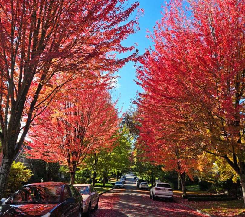 Photo of Others in Kerrisdale