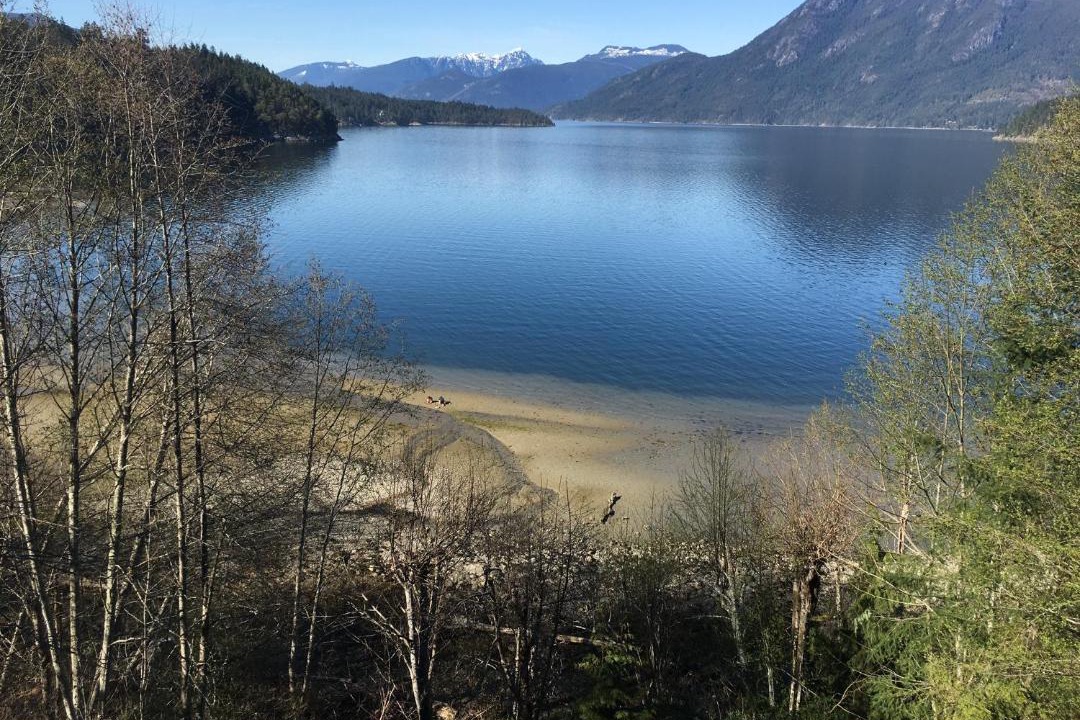 Photo of Others in West Porpoise Bay