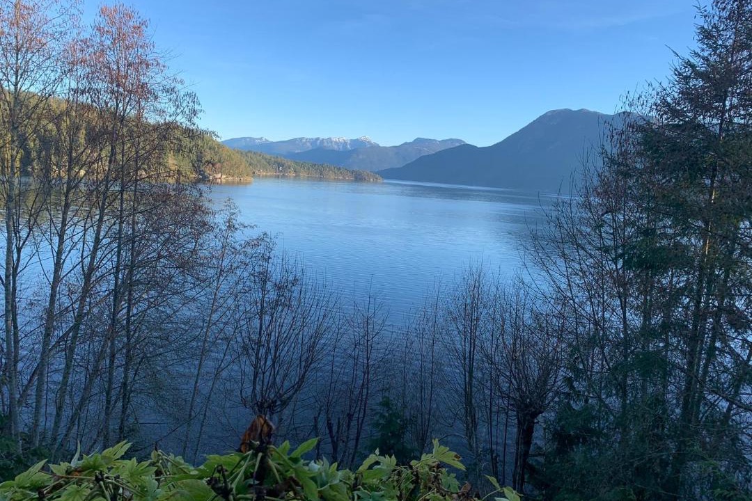 Photo of Others in West Porpoise Bay