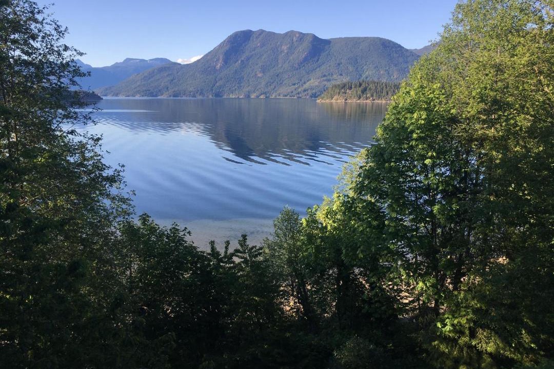 Photo of Others in West Porpoise Bay