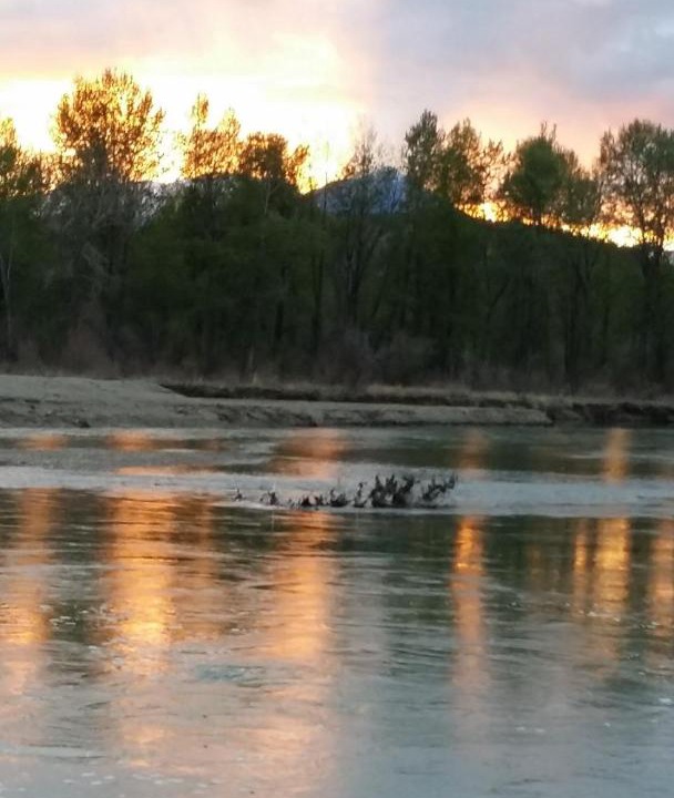 Photo of Others in Radium Hot Springs