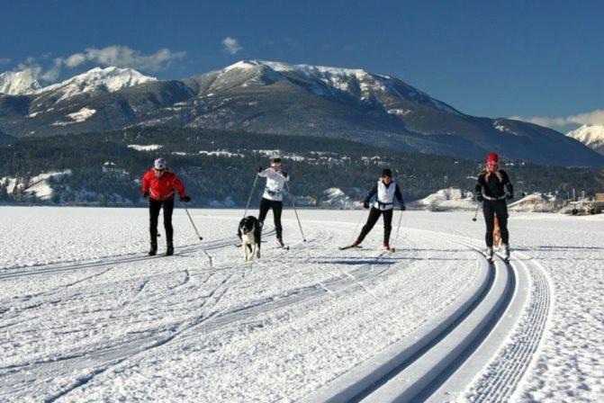 Photo of Others in Invermere