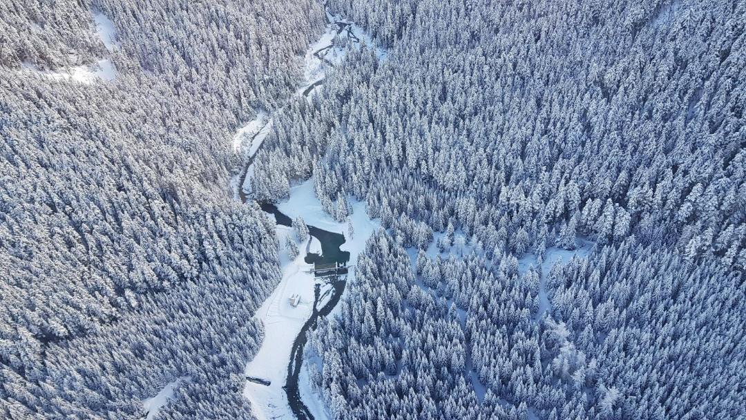 Photo of Others in Whistler Creekside