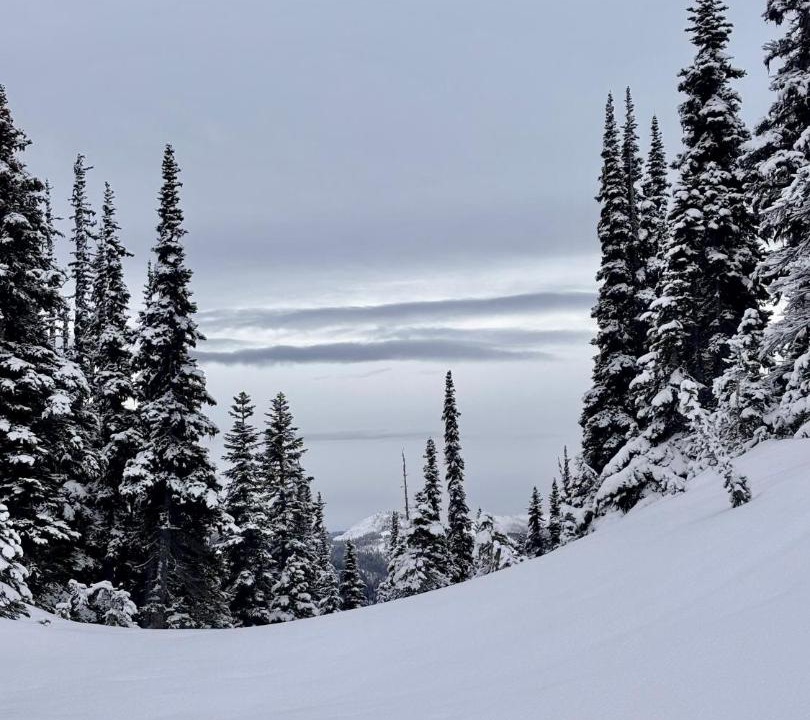 Photo of Others in Sumas Prairie
