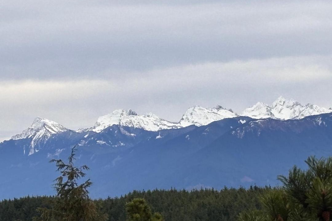 Photo of Others in Sumas Prairie