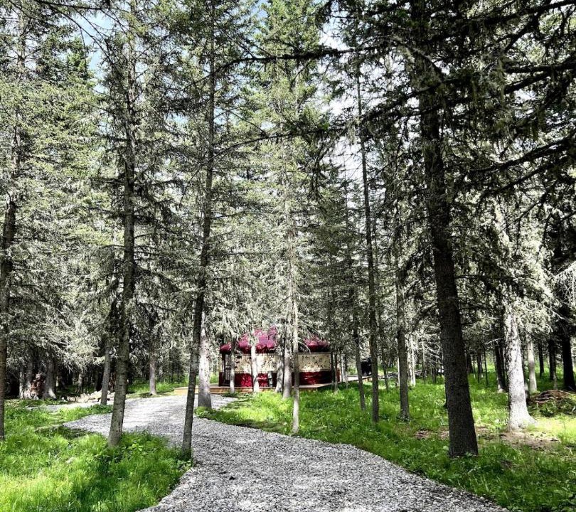 Photo of Others in Bragg Creek