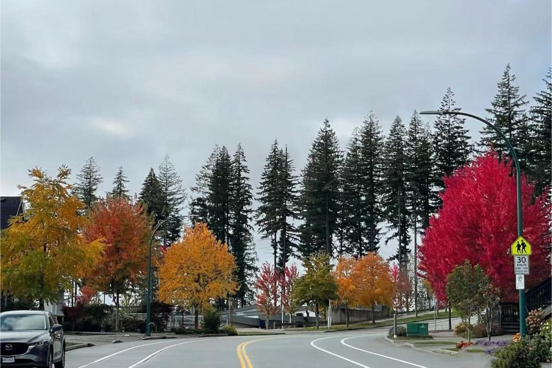 Photo of Others in Burke Mountain