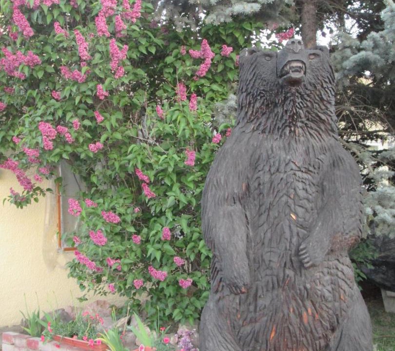 Photo of Others in Vernon
