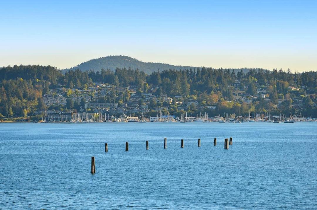 Photo of Others in Cowichan Bay