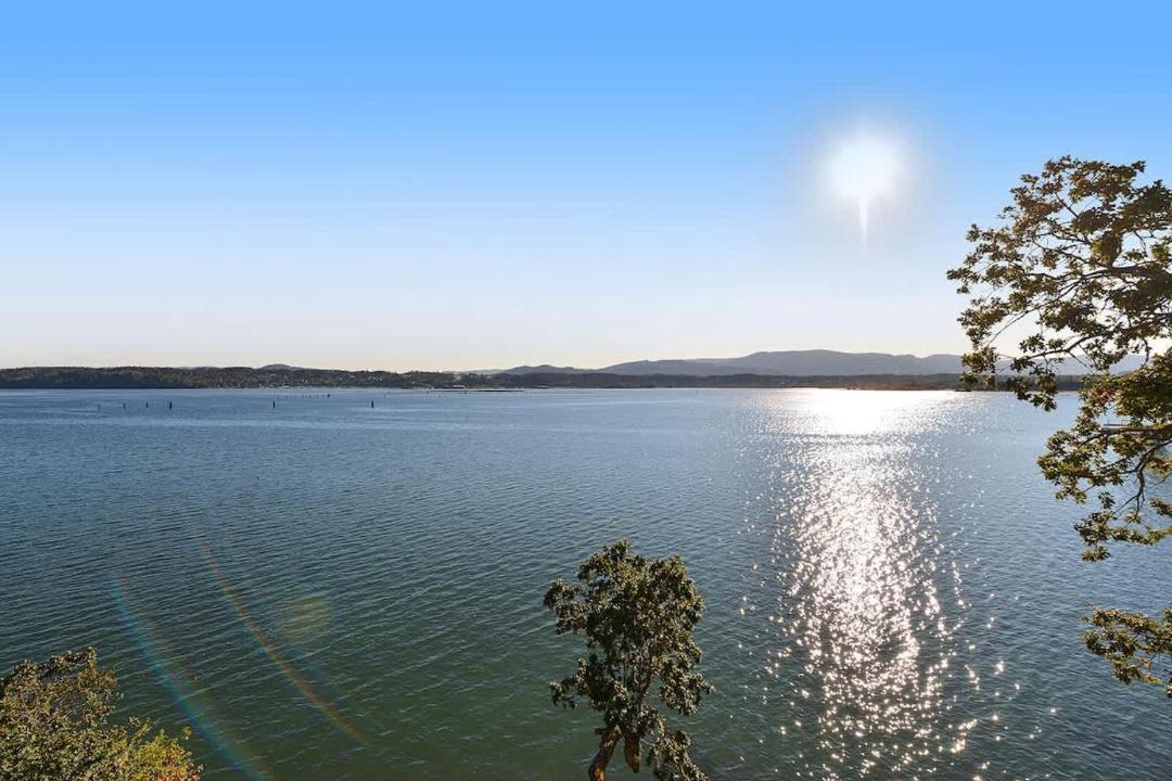 Photo of Others in Cowichan Bay