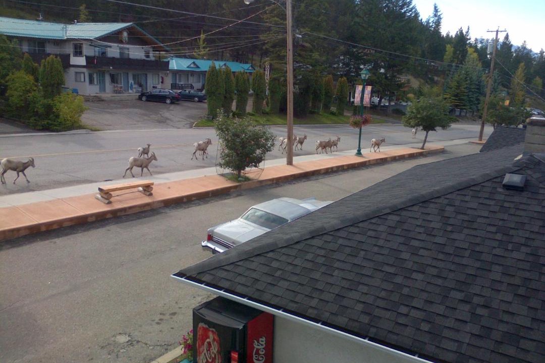 Photo of Others in Radium Hot Springs