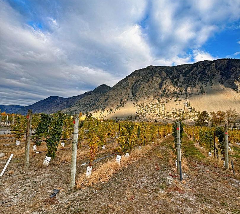 Photo of Others in Okanagan-Similkameen