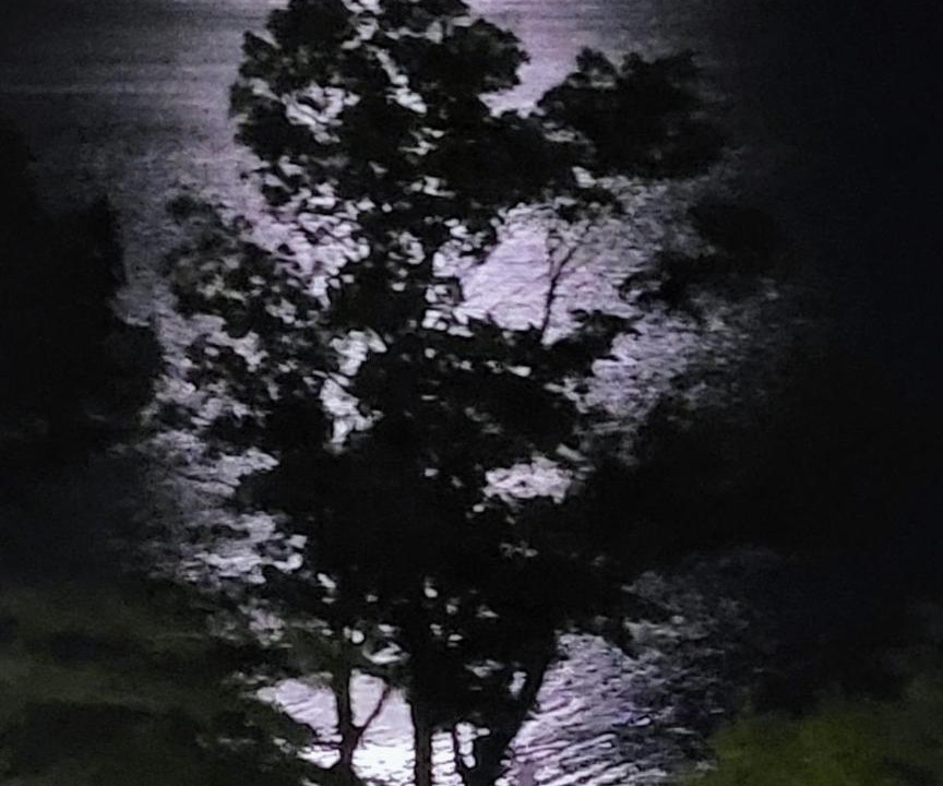 Photo of Others in Central Okanagan