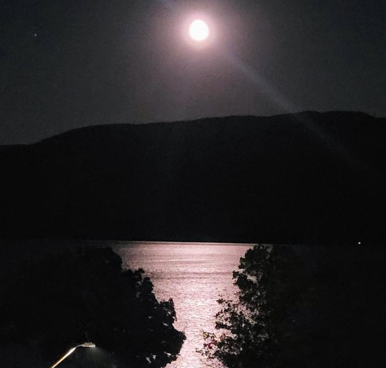 Photo of Others in Central Okanagan