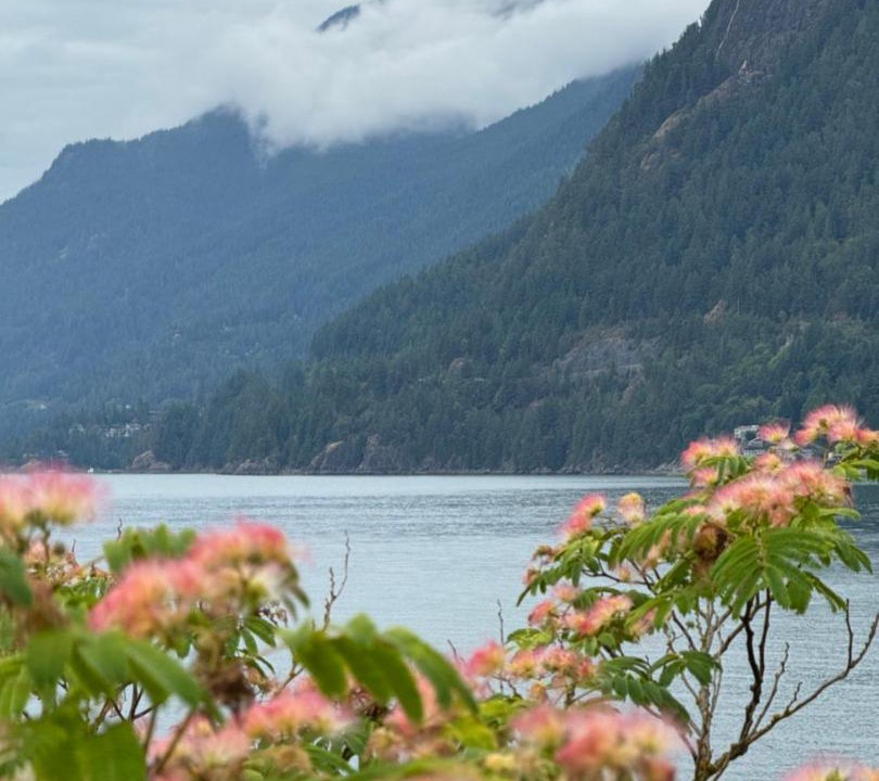 Photo of Others in Vancouver