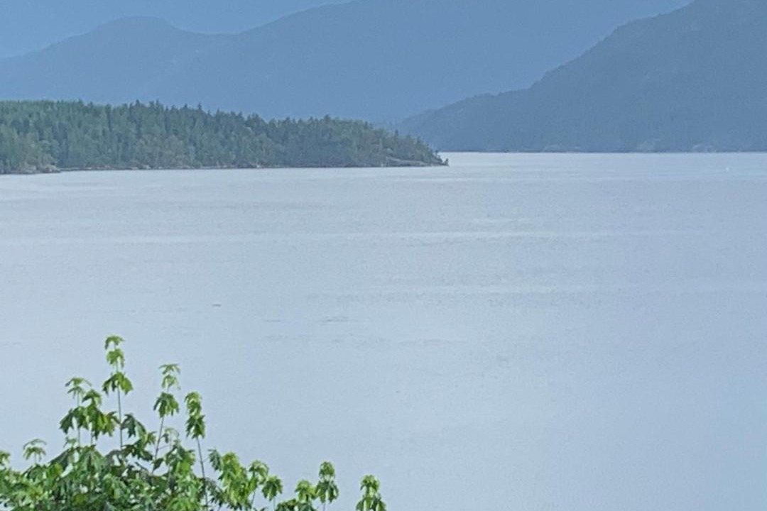 Photo of Others in West Porpoise Bay