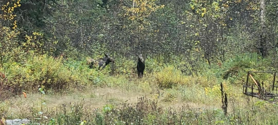 Photo of Others in Thunder River