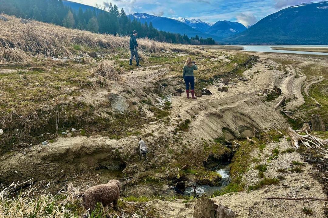 Photo of Others in Central Kootenay