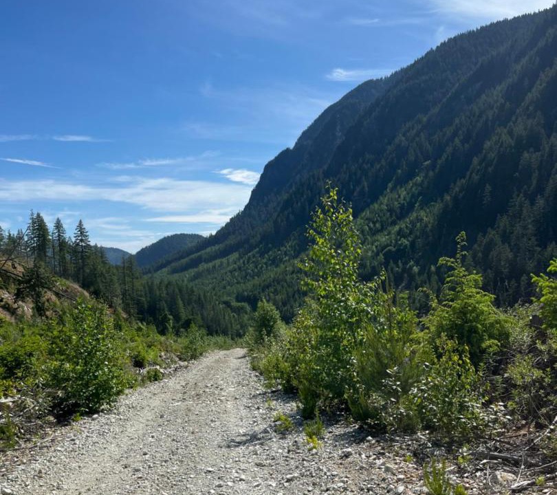 Photo of Others in Agassiz