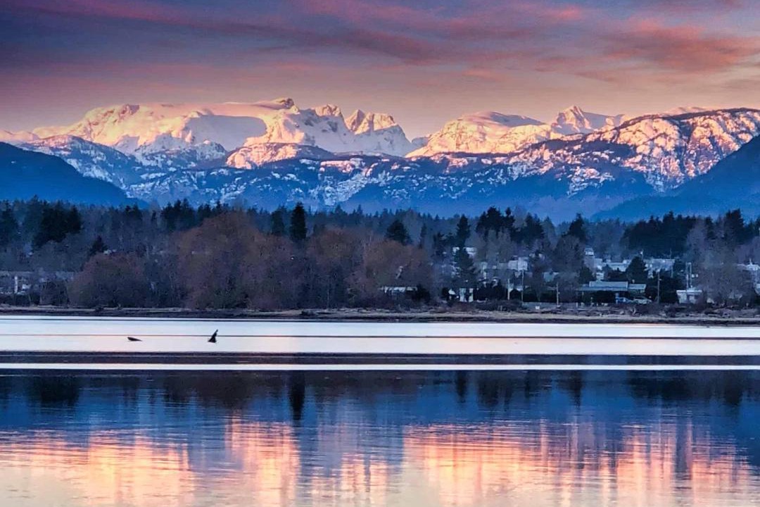 Photo of Others in Courtenay