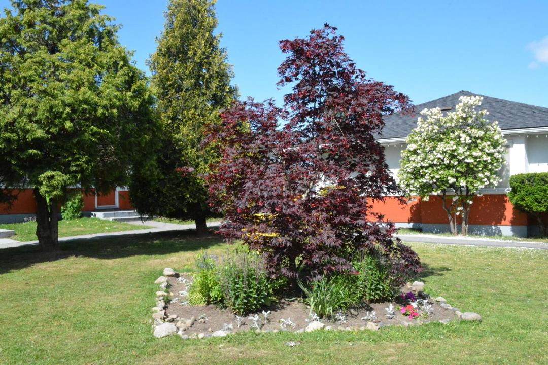 Photo of Others in East Side