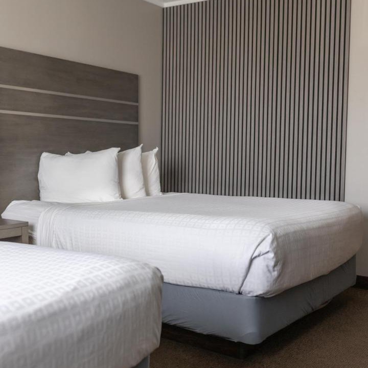 Photo of Bedroom in City Centre