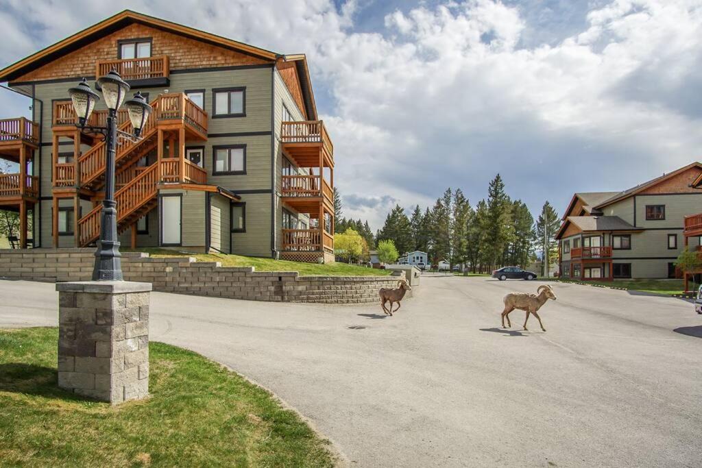 Photo of Others in Radium Hot Springs