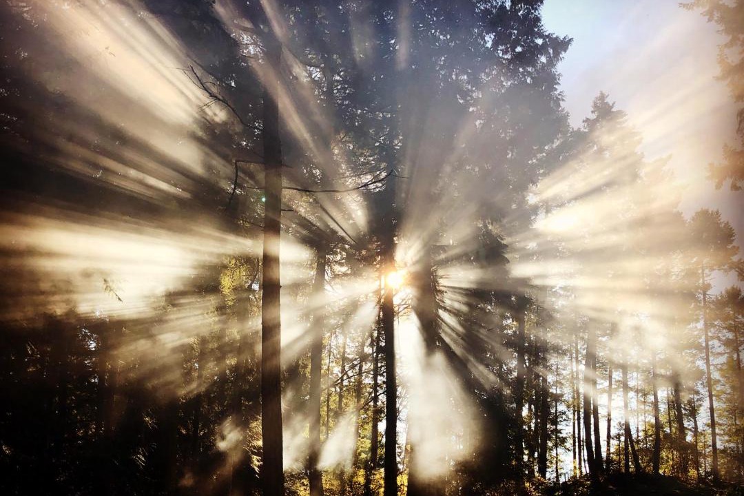 Photo of Others in Mayne Island