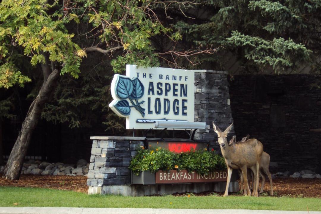 Photo of Others in Banff