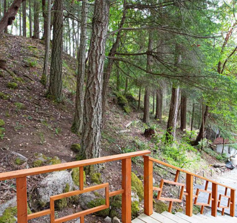 Photo of Others in Salt Spring Island