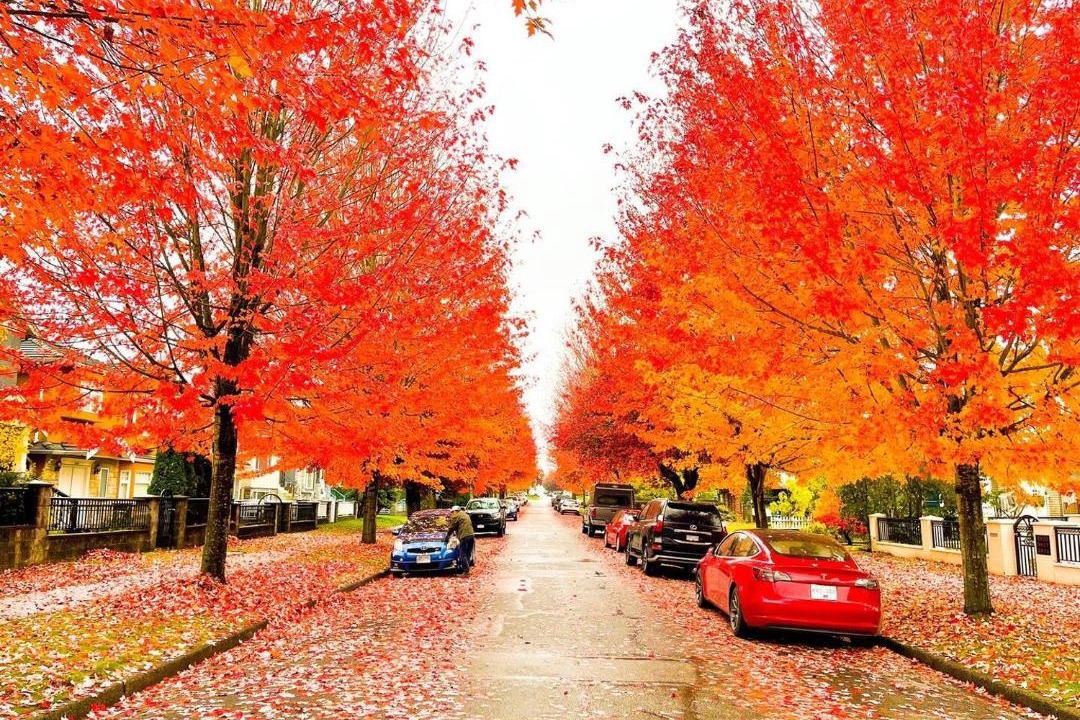 Photo of Others in Renfrew-Collingwood