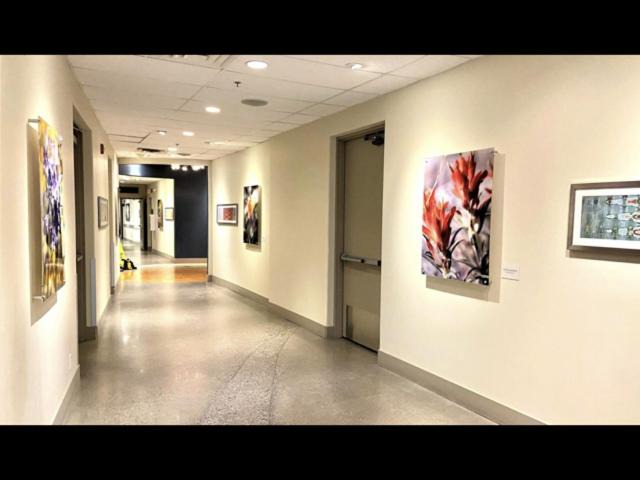 Photo of Others in Canmore