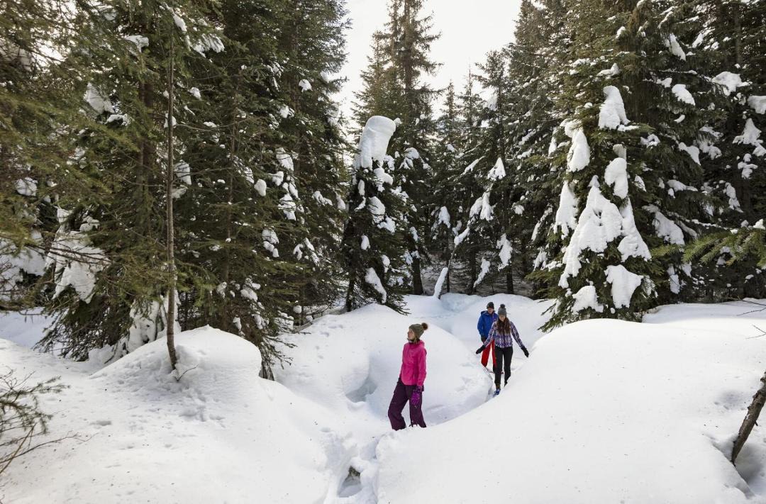 Photo of Others in Sun Peaks