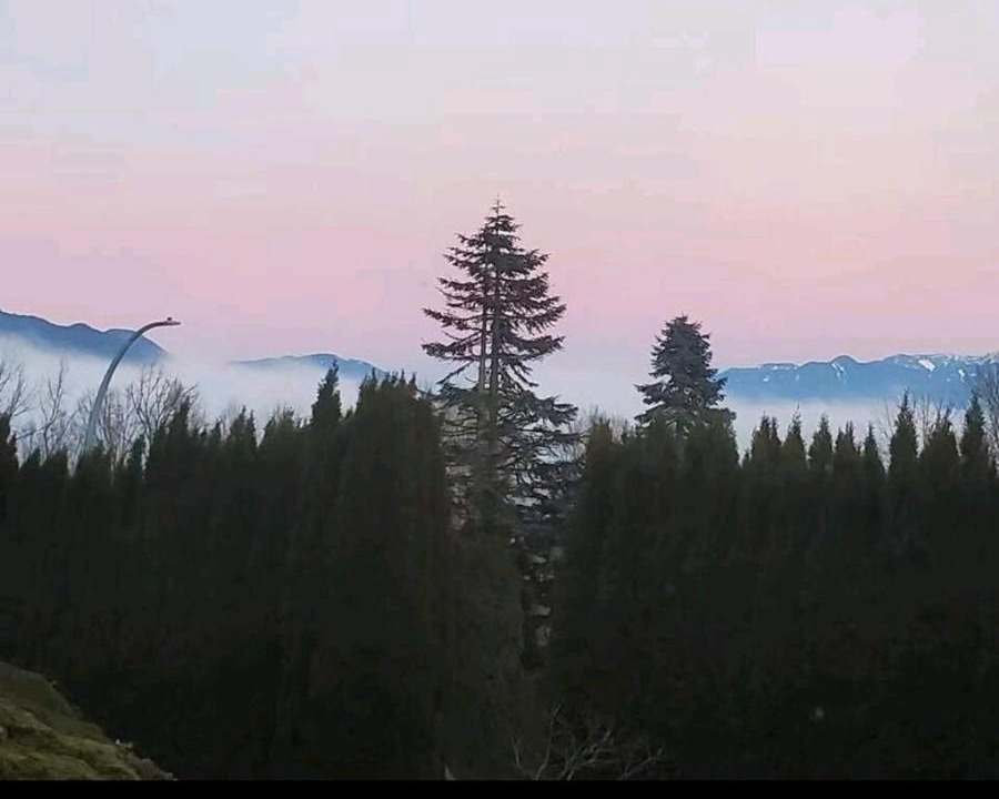 Photo of Others in Chilliwack