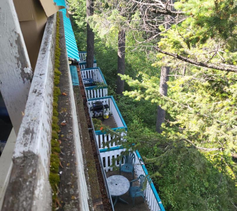 Photo of Others in Radium Hot Springs