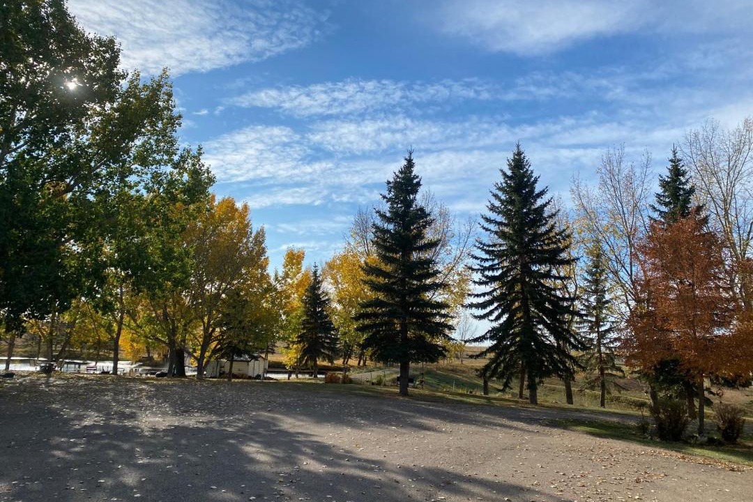 Photo of Others in Drumheller