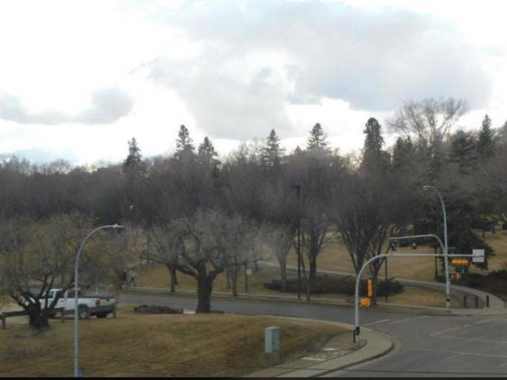 Photo of Others in Downtown Edmonton