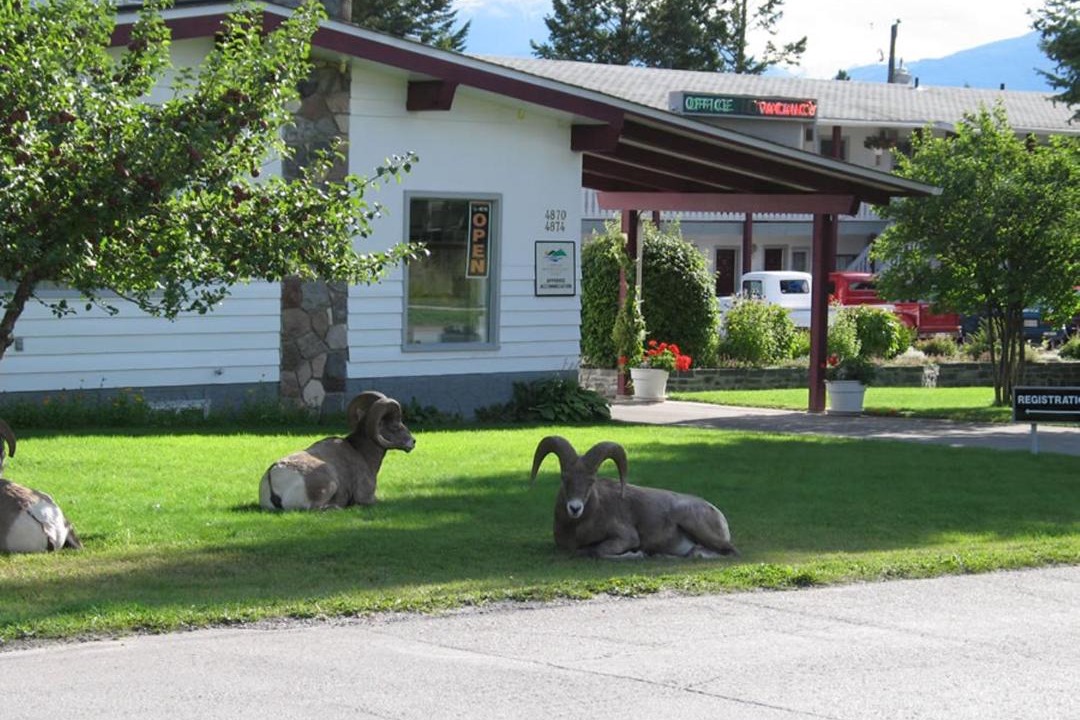 Photo of Others in Radium Hot Springs
