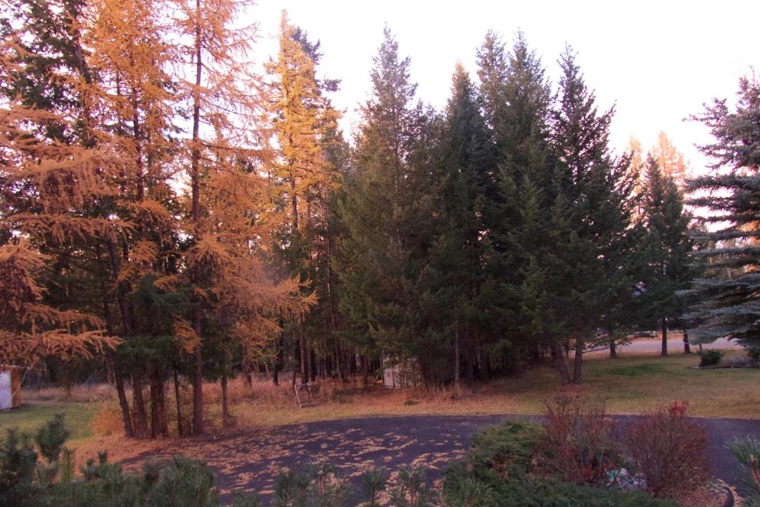 Photo of Others in Cranbrook