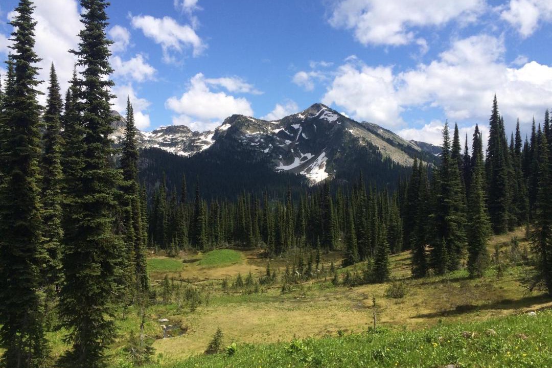 Photo of Others in Revelstoke