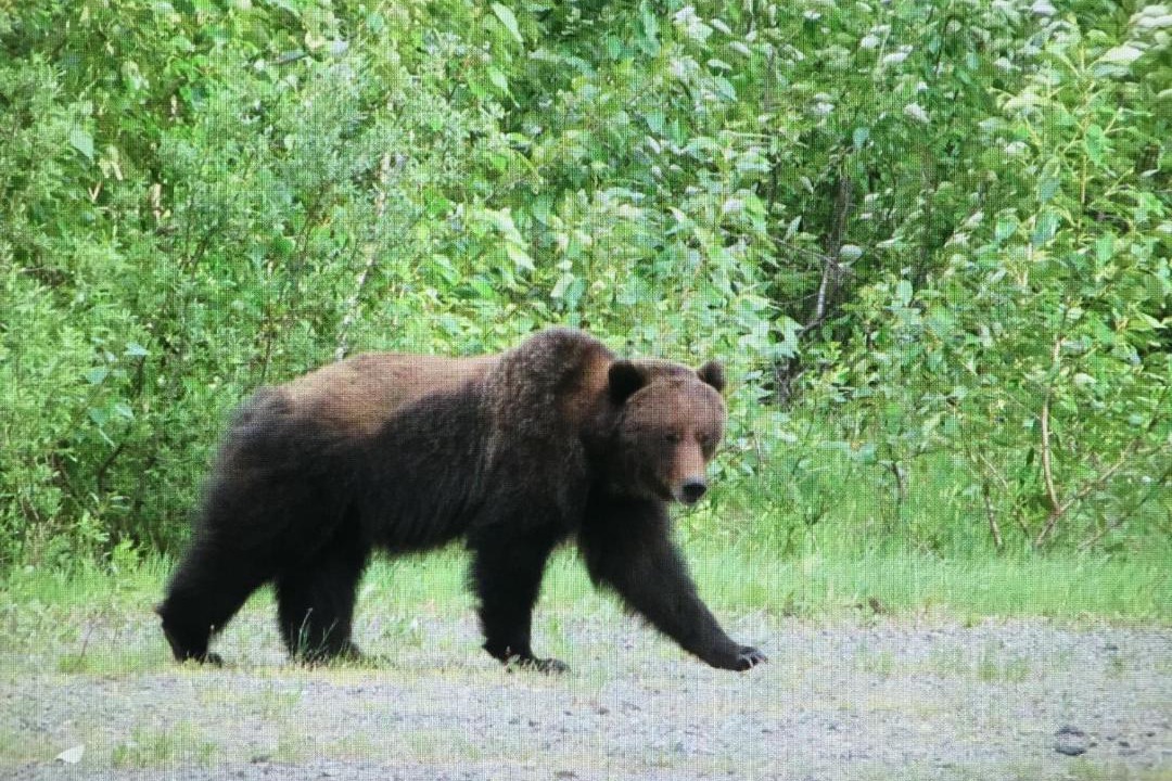 Photo of Others in Stewart