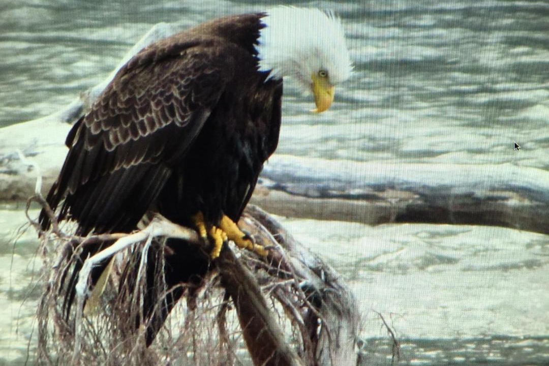Photo of Others in Stewart