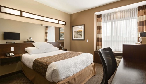 Suite, 1 Queen Bed, Mobility Accessible, Non Smoking (Roll-In Shower)