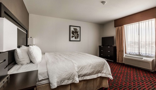 Room, 1 King Bed