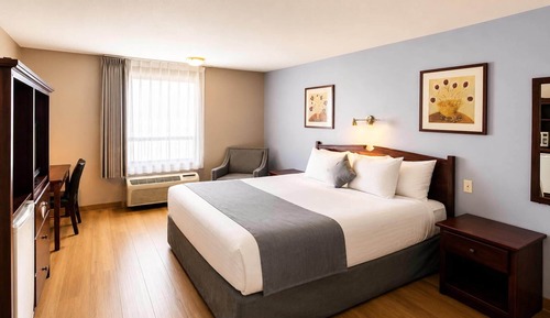 Room, 1 King Bed
