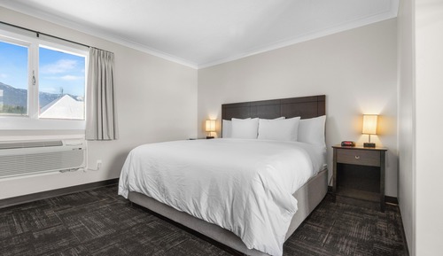 Room, 1 King Bed