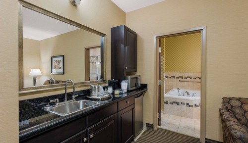 Standard Room, 1 King Bed, Non Smoking, Refrigerator & Microwave (Walk-in Shower;with Sofabed)